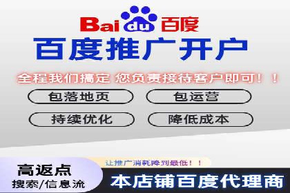竞价广告案例分析：品牌成功之道