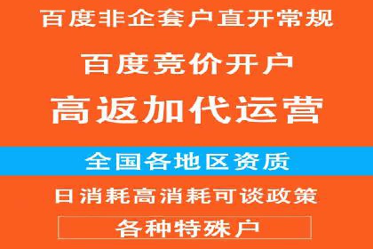信息流广告的秘密武器：投放策略的实战应用